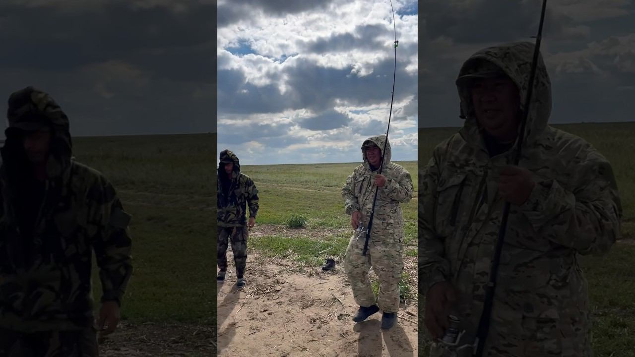 Диевка. Ловля Карпа #ловлясазана #охотаназайца #охотанагуся #hunting смотреть онлайн