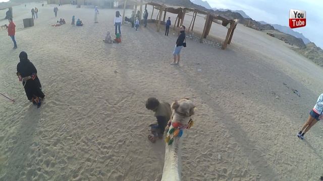 Отдых в Хургаде 2017 Экскурсия Супер Сафари смотреть онлайн