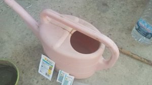 Тля на Розах - Обработка перед Первым ЦВЕТЕНИЕМ - баковой смесью - АКТАРА + СКОР, пропорции и сроки