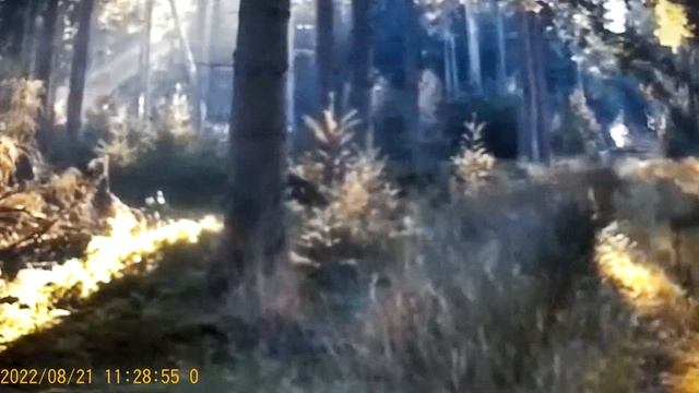 Сафар и Уралочка - раздражения и восприятие друг друга . смотреть онлайн