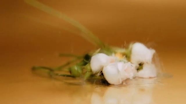 Парфумована вода жіноча Evolve Camara (short version) смотреть онлайн