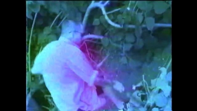 Lida x Azazin - Ради бога смотреть онлайн