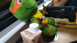 ЧЕРЕПУХУС В ПОЕЗДЕ 8