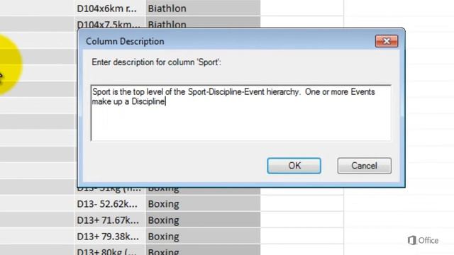 Power View Reporting Properties - Add Descriptions to Power View Tables, Columns and Fields смотреть онлайн