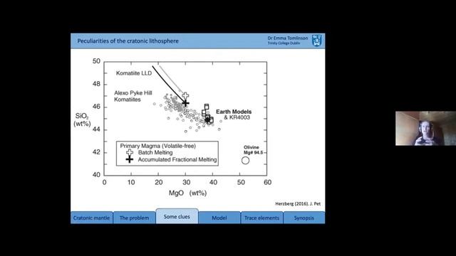 Geochemical peculiarities of the Archaean lithosphere - Tomlinson, E.L. and Kamber, B.S. смотреть онлайн