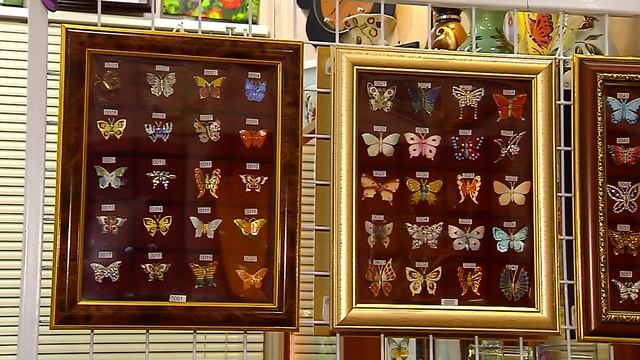 Народный путеводитель музей бабочек и стрекоз в Касимове смотреть онлайн