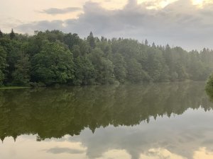 Аренда площадки для мероприятия у воды в Подмосковье,  89015444723.MOV