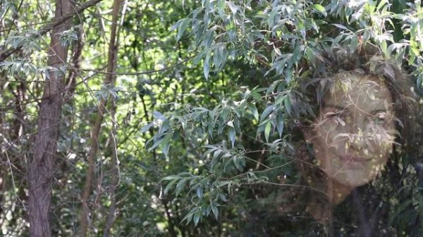 В чем отличие мага от колдуна