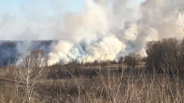 Лесной пожар в Подколодновке !!! смотреть онлайн