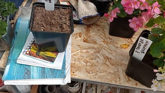 Обзор стелажей под навесом на 20.05.2023 г. смотреть онлайн