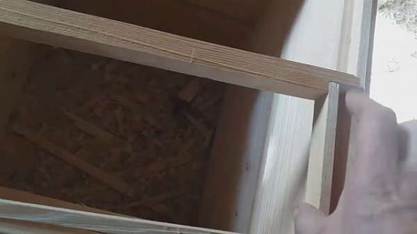 Начинающие пчеловоды   ошибки