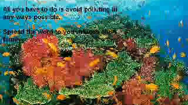 SAVE THE SEA смотреть онлайн