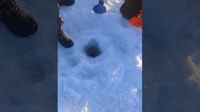 Зимняя рыбалка Казахстан Тарангул 2017 первая щука смотреть онлайн