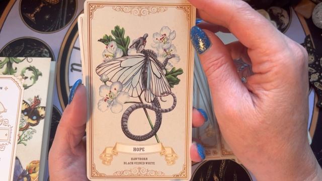 Enchanted Blossoms Empowerment Oracle Unboxing and Walkthrough смотреть онлайн