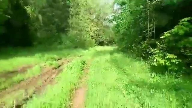 Поездка на болотоходе ( вездеход, каракат зис 5) . Коп металлолома смотреть онлайн