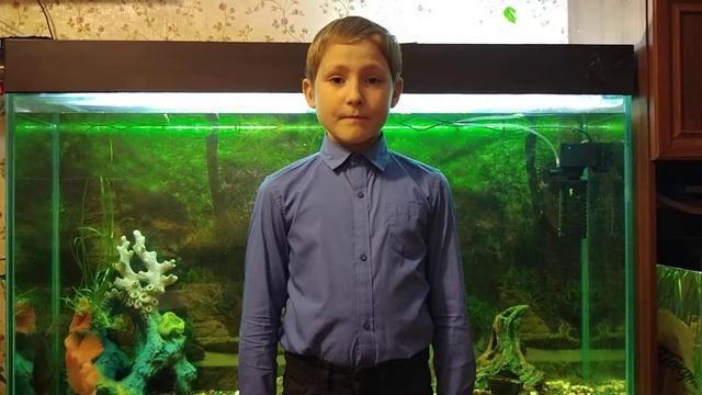 2 класс. С Михалков Мой щенок смотреть онлайн