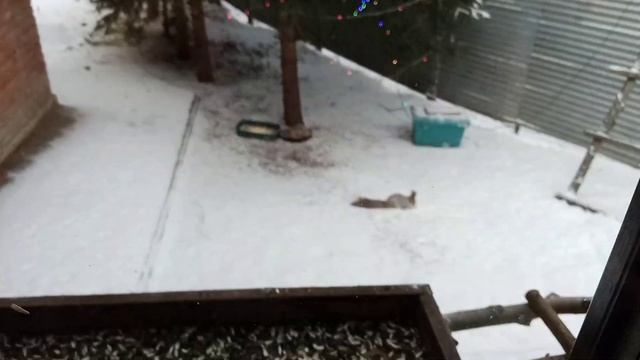 первый взял смотреть онлайн