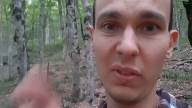 Определитель номера зло смотреть онлайн