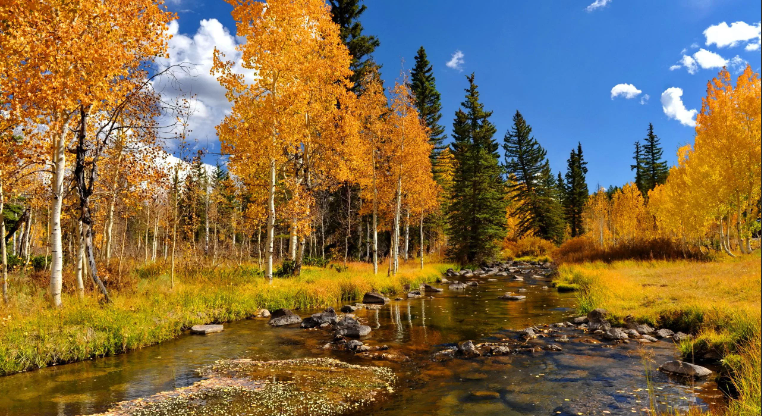 Успокаивающая лесная река и водопад. Белый шум для сна ✦ Успокаивающие Звуки ✦ Relax Sleep смотреть онлайн