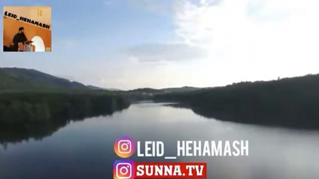 Ставки харам смотреть онлайн