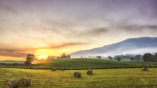 Псалтирь - Псалом 1..