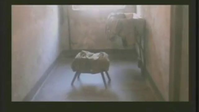 Auschwitz Survivor смотреть онлайн