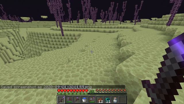 An EPIC Ender Dragon Fight! - The Minecraft Manual - Episode 16 смотреть онлайн