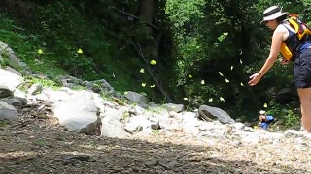 Green River - Butterflies смотреть онлайн