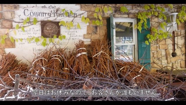 【八ヶ岳・秋の原村より】#83 秋色に染まる小さなイギリス「ワンズワース」 /定休日は静かな「カントリー・キッチン」/夢子はコムデギャルソンにハマる/猫たち/60代/一人暮らし/田舎暮らし/移住暮ら