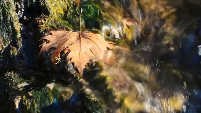 6 Октября День Светлых Перемен. Что нельзя делать в это время. Лунный календарь магия жизни.