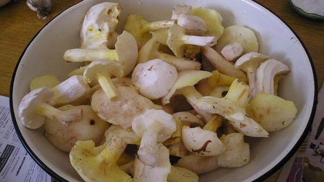 Сборник рецептов