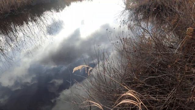 НАТКНУЛИСЬ НА ОЧЕРЕДНУЮ БОБРОВУЮ ПЛОТИНУ/РАБОЧИЕ БУДНИ ДЯДИ ВОВЫ смотреть онлайн