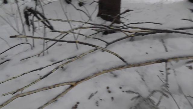 Морозным днём! Привет из прошлого года). смотреть онлайн