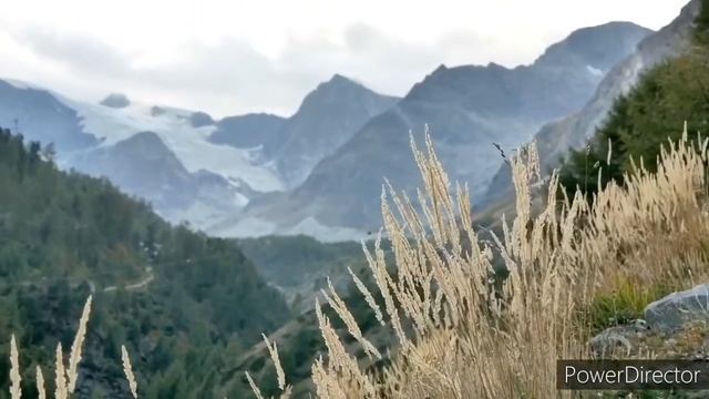 Мотивирующие псалмы 1,2,3 Давида смотреть онлайн