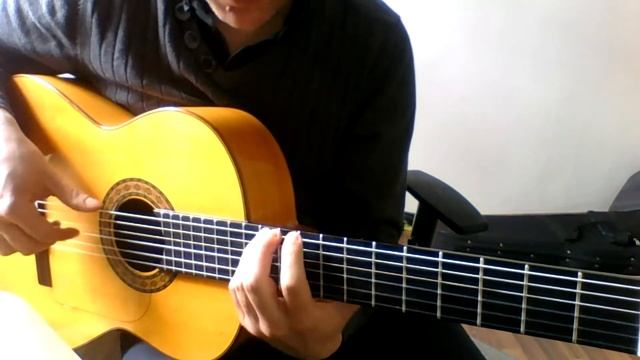VIDEO 2 - Arpegio Arriba - Dario Piga - Guitarra Flamenca (Bpm 120) смотреть онлайн