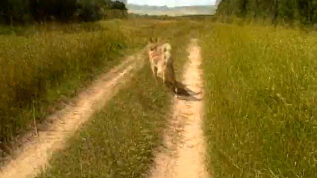 pokataloo #3 смотреть онлайн