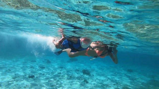 Nassau, Bahamas,Royal Caribbean Cruise, Navigator of the Seas. Green Cay, Rose Island, turtles. смотреть онлайн