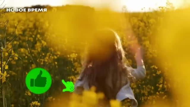 Будьте благодарны уже за то, что вы живы смотреть онлайн