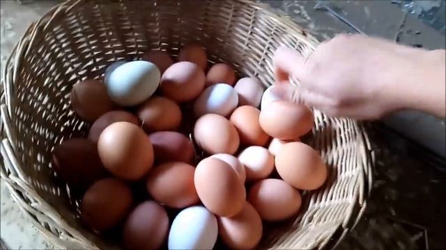 Стройка Современности