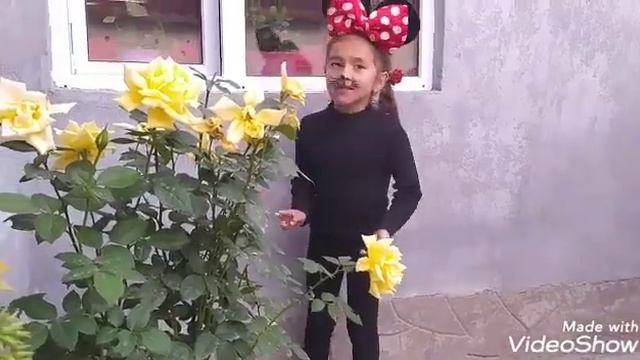 Сказка "Репка" на новый лад смотреть онлайн
