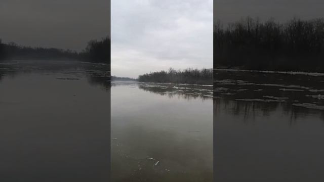Новая рубрика. Психология на природе. Моя ответственность в зоне неверно выбранных отношений. смотреть онлайн