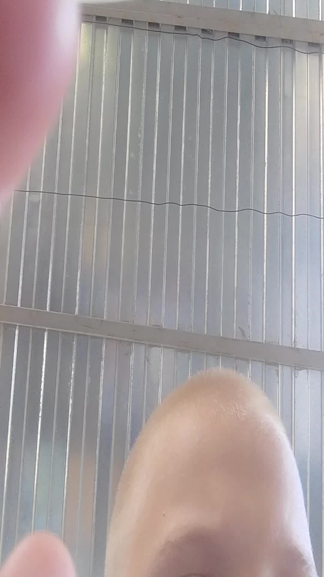 нулс бравл смотреть онлайн