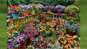 Цветущий сад на даче