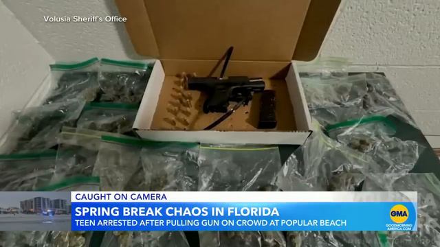 Florida authorities crack down after shooting on Jacksonville Beach смотреть онлайн