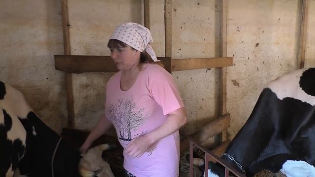 Знакомство с нами. Я люблю свою деревню смотреть онлайн