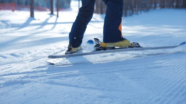 КАК ТОРМОЗИТЬ НА ЛЫЖАХ? КАК ПОВОРАЧИВАТЬ НА ГОРНЫХ ЛЫЖАХ? смотреть онлайн
