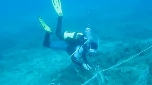 Miseno Reef abandoned net смотреть онлайн