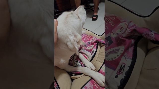 Обстрелы.. смотреть онлайн