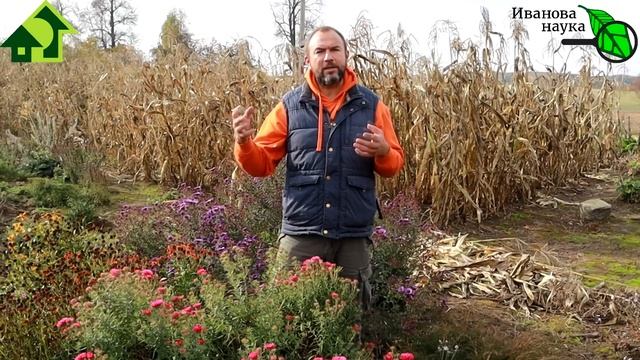 КАК БЫСТРО РАСКИСЛИТЬ ПОЧВУ? 3 полезных и 2 очень вредных непростительных совета в одном видео! смотреть онлайн