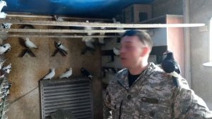 Беринговский